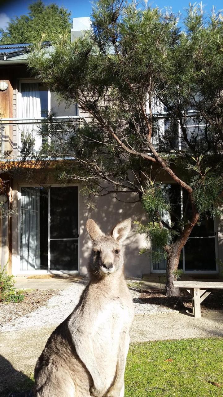 Yha Grampians Eco, Halls Gap Exteriér fotografie
