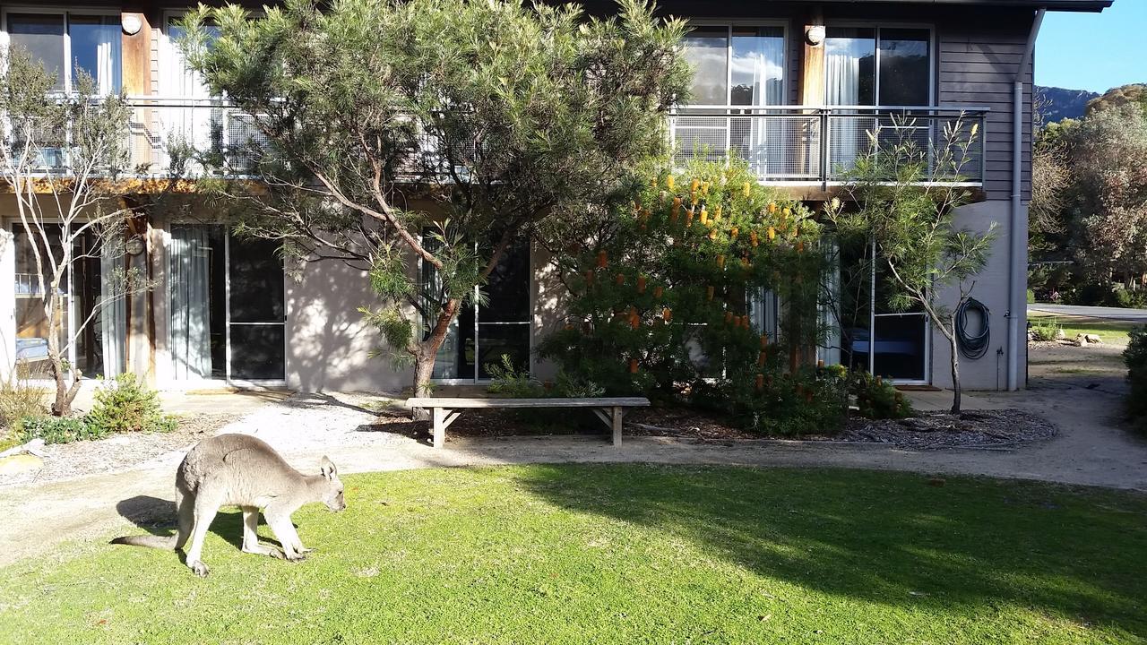 Yha Grampians Eco, Halls Gap Exteriér fotografie