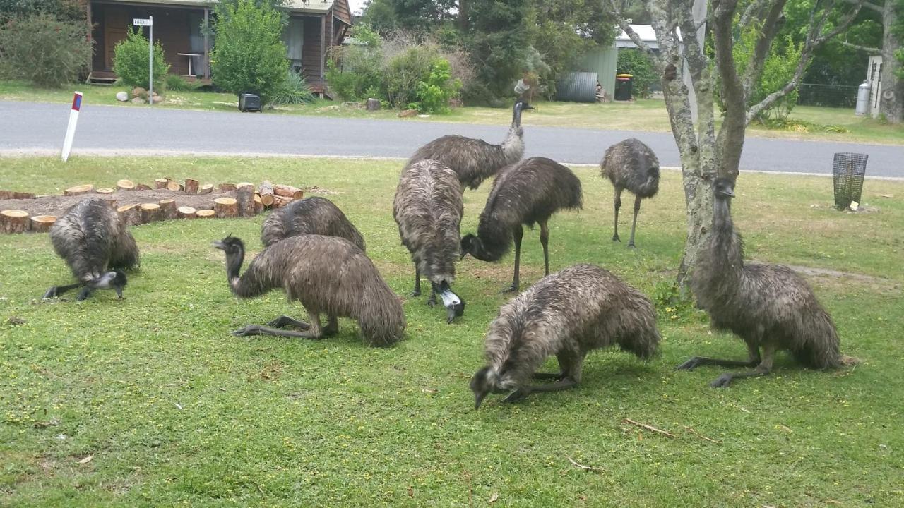 Yha Grampians Eco, Halls Gap Exteriér fotografie